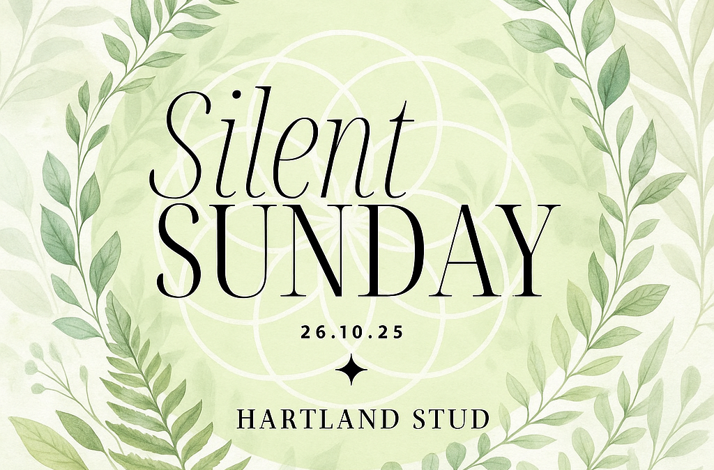 🌿 Silent Sunday: A Mindful Day Retreat 🌿